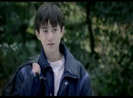 Love Does Grow on Trees 